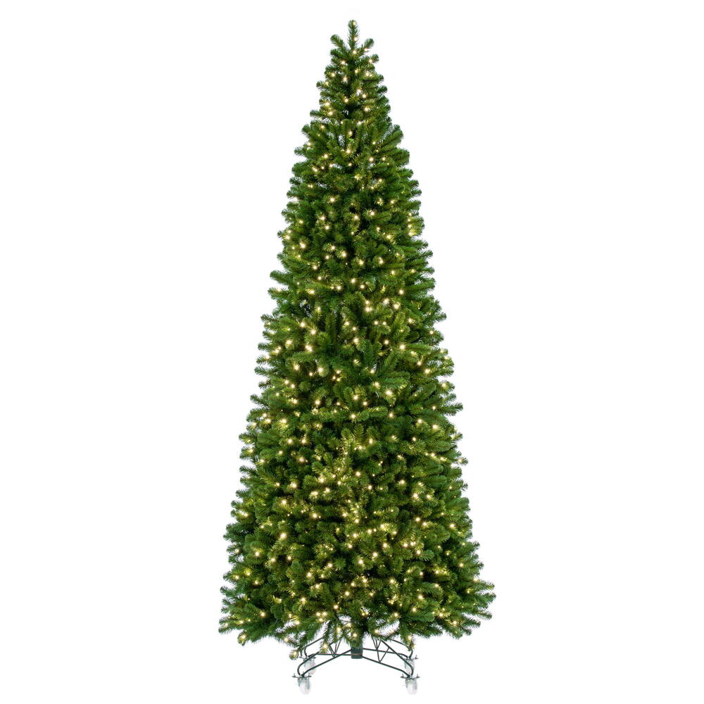 Picture of Vickerman G237496LED 14 ft. x 68 in. Deluxe Sequoia 5 mm WA 2650WW Christmas Tree - Green