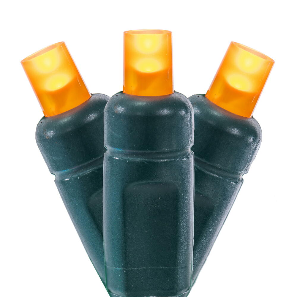 X6G66508FPBG 50 Light Frosted LED WA Coax Set - Orange