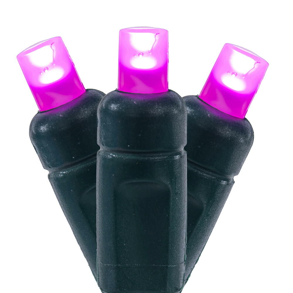 X6G66510FPBG 50 Light Frosted LED WA Coax Set - Pink