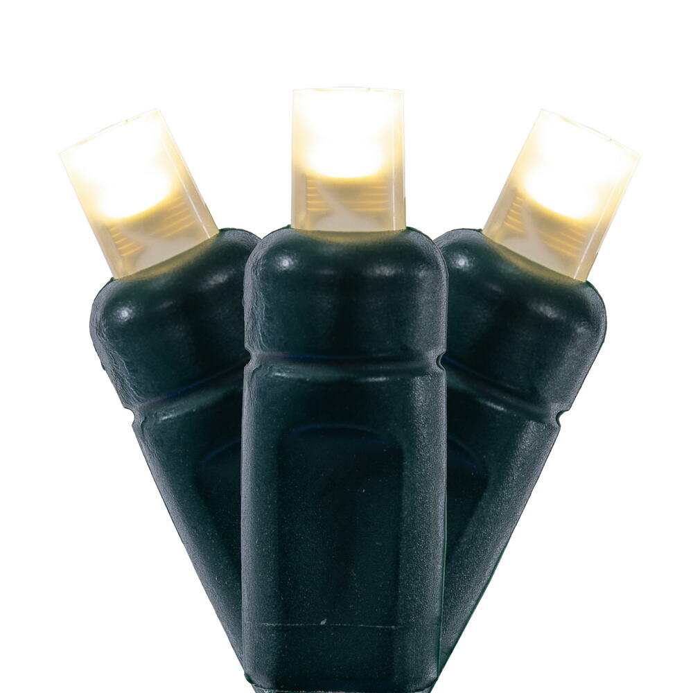X6G66501FPBG 50 Light Frosted LED WA Coax Set - Warm White