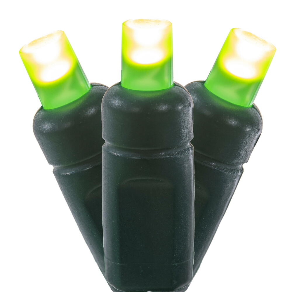X6G66533FPBG 50 Light Frosted LED WA Coax Set - Lime