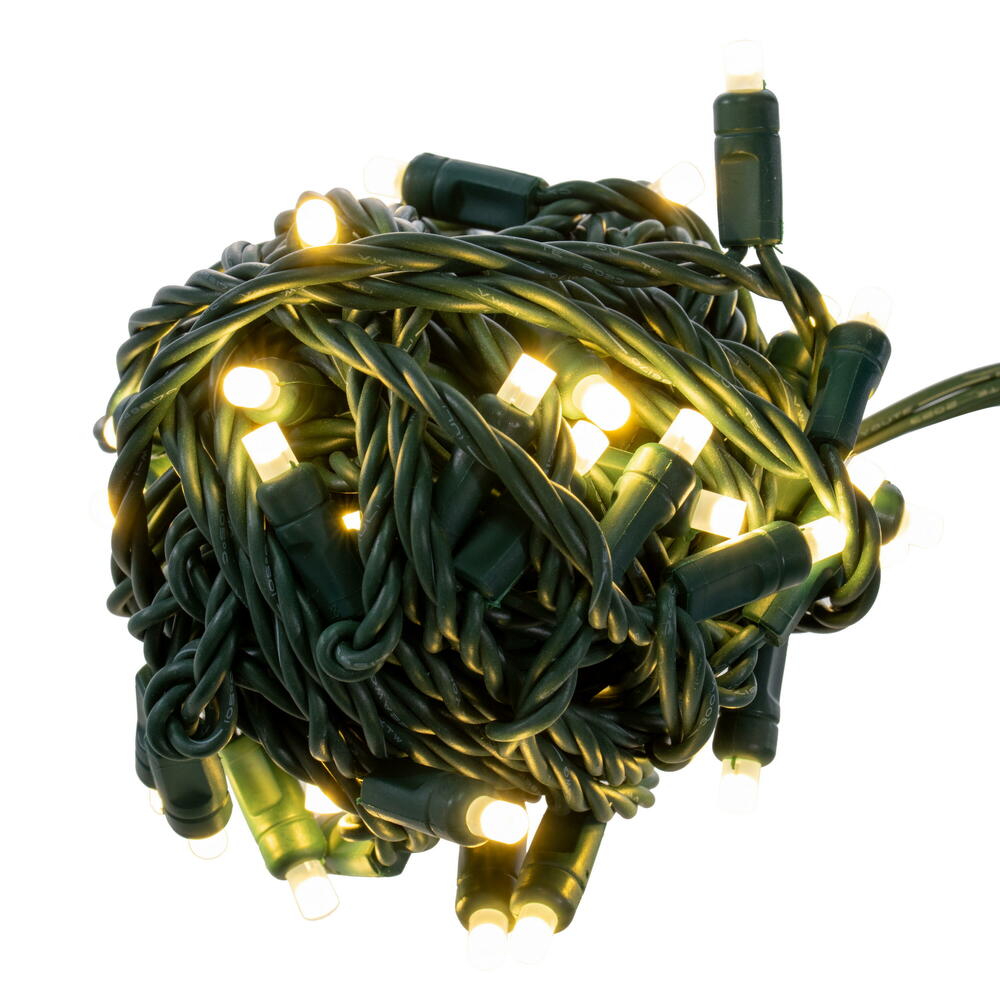 X6G66501FTPBG 50 Light Frosted LED WA Coax Set - Warm White