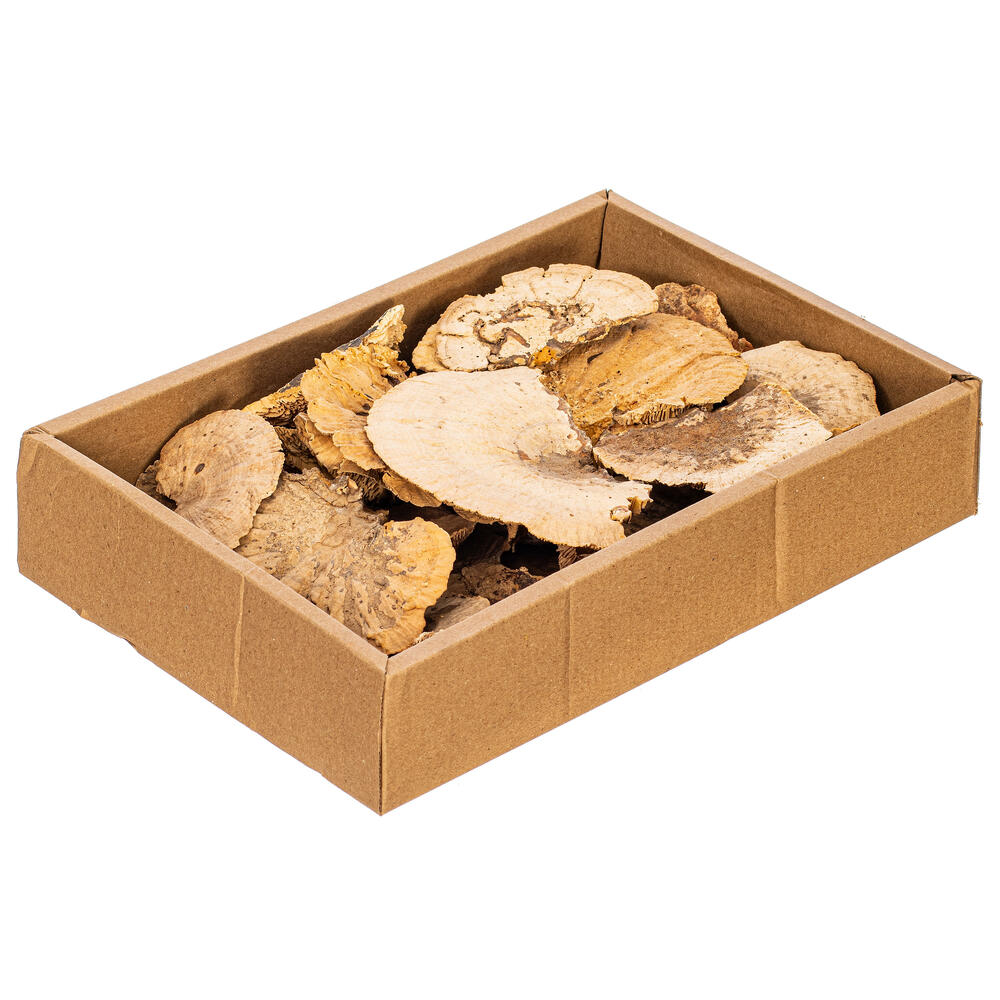 H7SMT000 4-6 in. Natural Sponge Mushroom Botanicals - 24 per Bag
