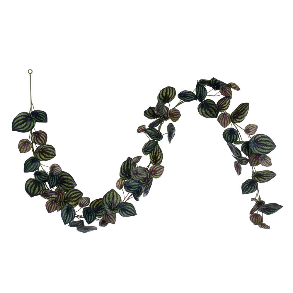 Picture of Vickerman FTL250772UV 72 in. Artificial Peperomia Piccolo UV Garland&#44; Green