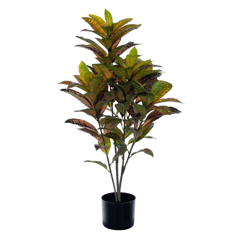 FTL251936 36 in. Croton Potted Plant, Green