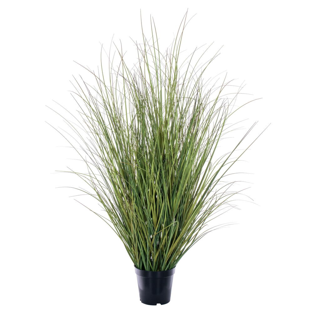 TN252336 36 in. Switchgrass Potted Grass - Green & Brown