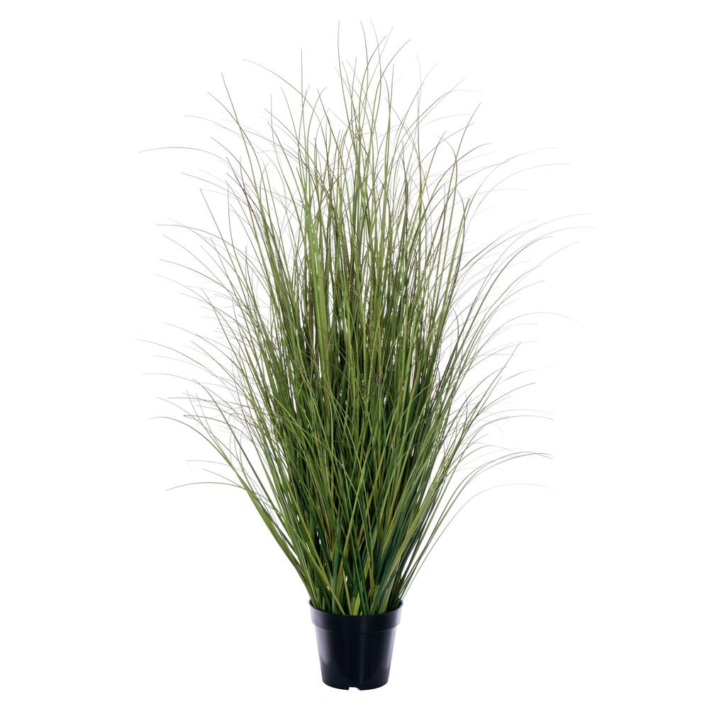 TN252348 48 in. Switchgrass Potted Grass - Green & Brown