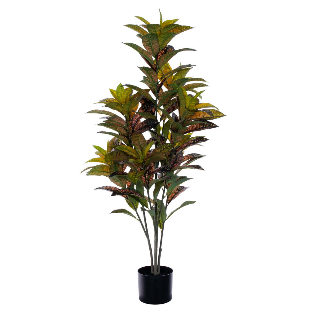 FTL251948 48 in. Croton Potted Plant, Green