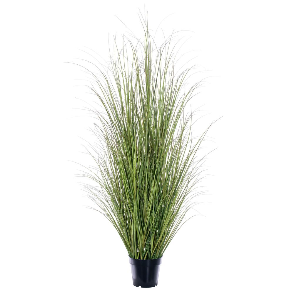 TN252360 60 in. Switchgrass Potted Grass - Green & Brown