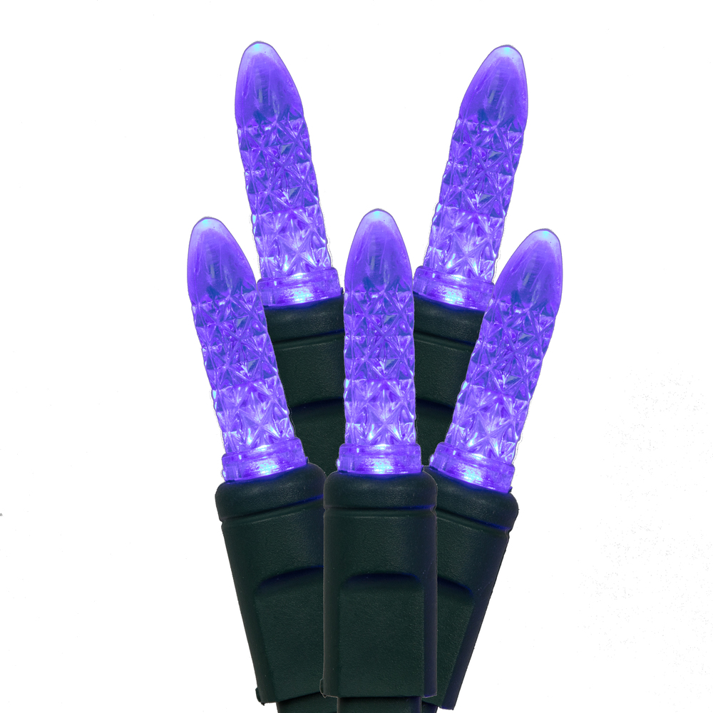 X4G5702PBG 70 Light x 4 in. x 24 ft. M5 Faceted Christmas LED Light with Green Wire, Blue