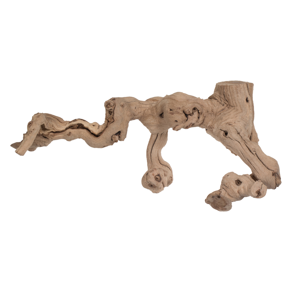 H4GTB000SB Dried Sand Blasted Trunk Branchy Grape Wood, Tan