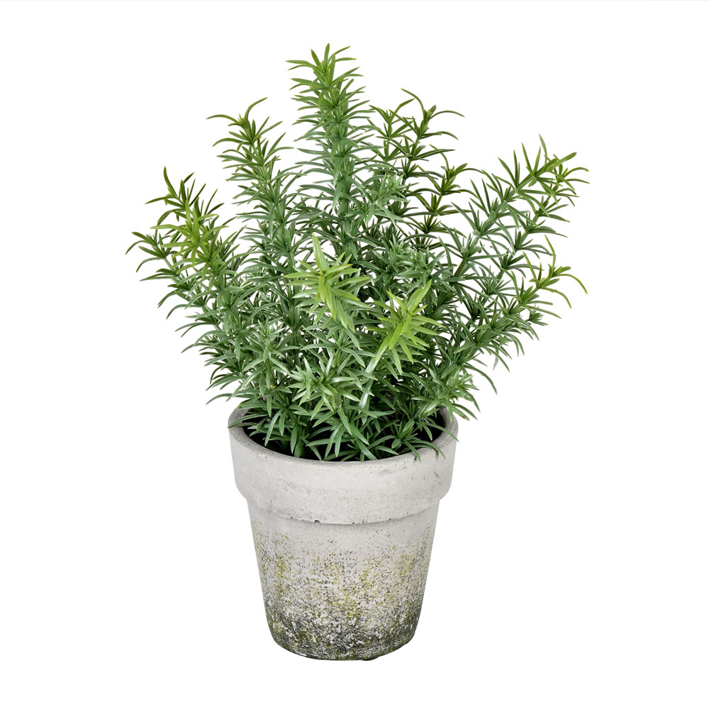 FJ190612 12.5 in. Artificial Potted Plant, Green