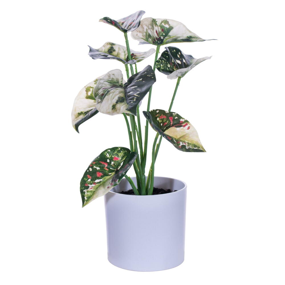 FR230604 11.5 in. Artificial Variegated Bush Leaves in Pot, Green - 2 Per Bag