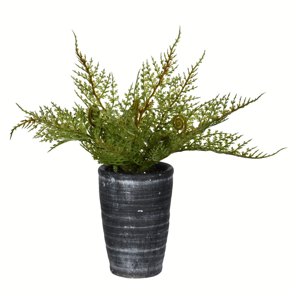 FV196808 8.5 in. Artificial Potted Asparagus Fern, Green