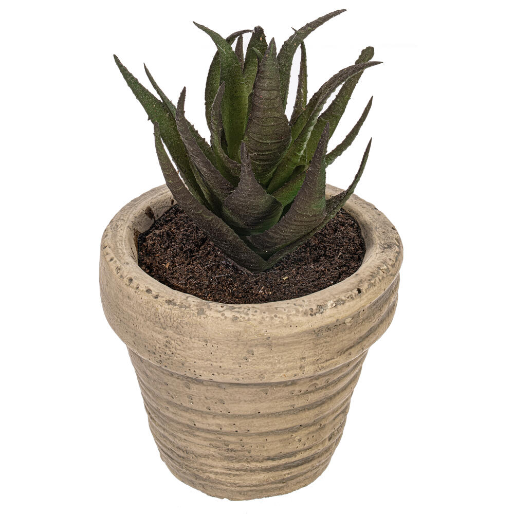 FV192164 4 in. Artificial Assorted Potted Succulents, Green - Pack of 6