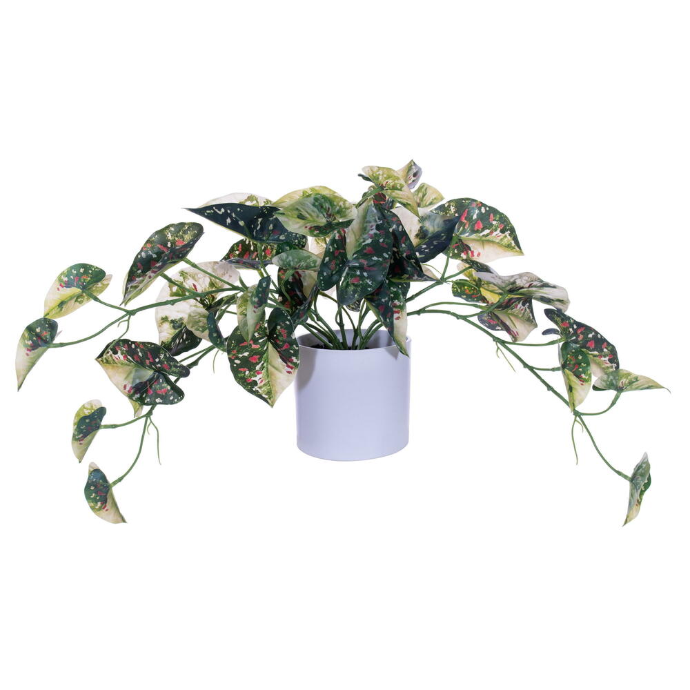 FR230104 16 in. Artificial Variegated Leaves with Pot, Green