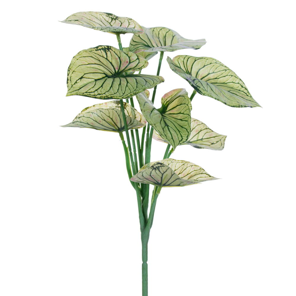 FR230413 12.5 in. Artificial Variegated Leaves Spray, Light Green - 3 Per Bag