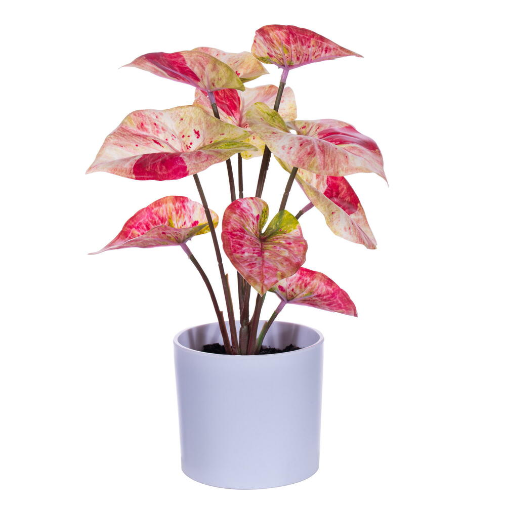 FR230603 11.5 in. Artificial Variegated Leaves with Pot, Red - 2 Per Bag