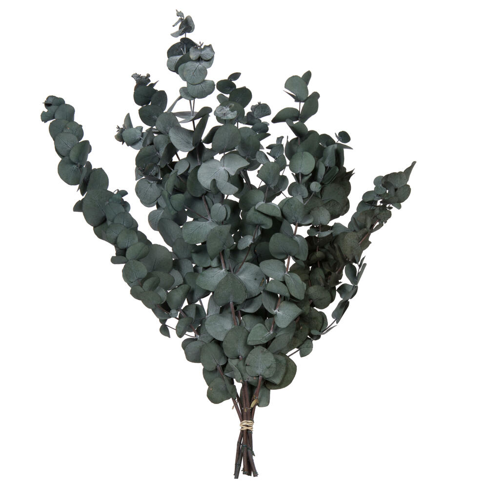 H1ESP150 3.5 oz 18-20 x 9 in. Eucalyptus Spiral, Green
