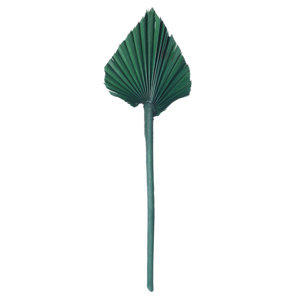 H7PAS175 15.75-19.5 in. Dried Palm Spear, Emerald - 12 Per Bag