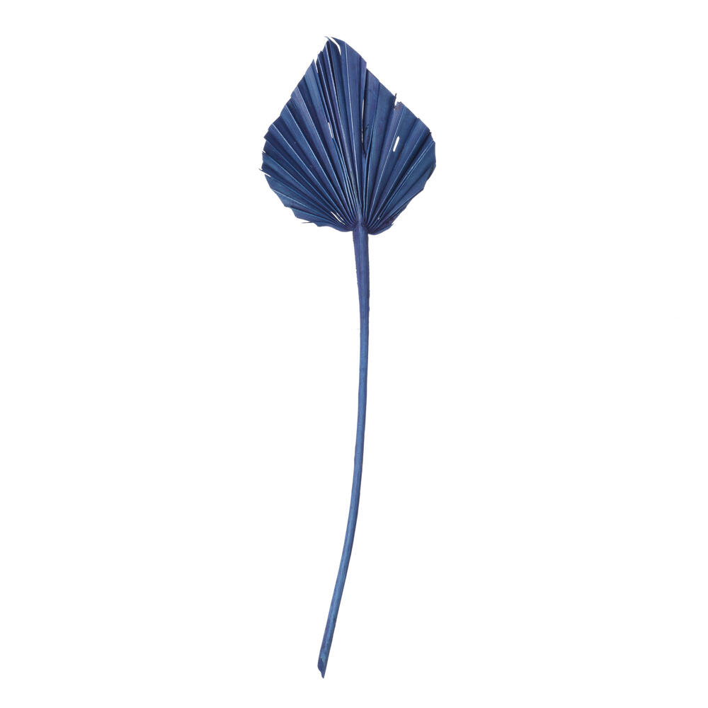 H7PAS525 15.75-19.5 in. Dried Palm Spear, Midnight Blue - 12 Per Bag