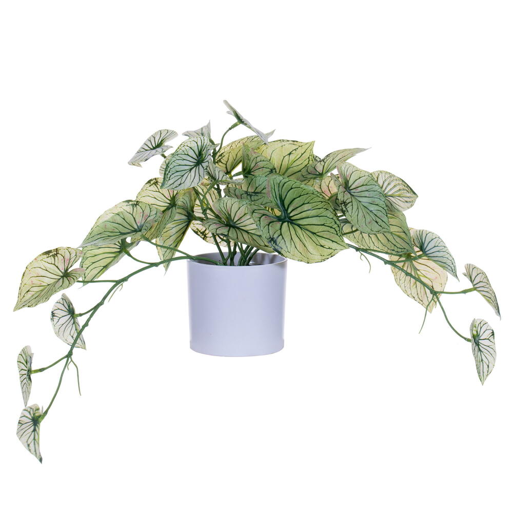 FR230113 16 in. Artificial Variegated Leaves with Pot, Light Green
