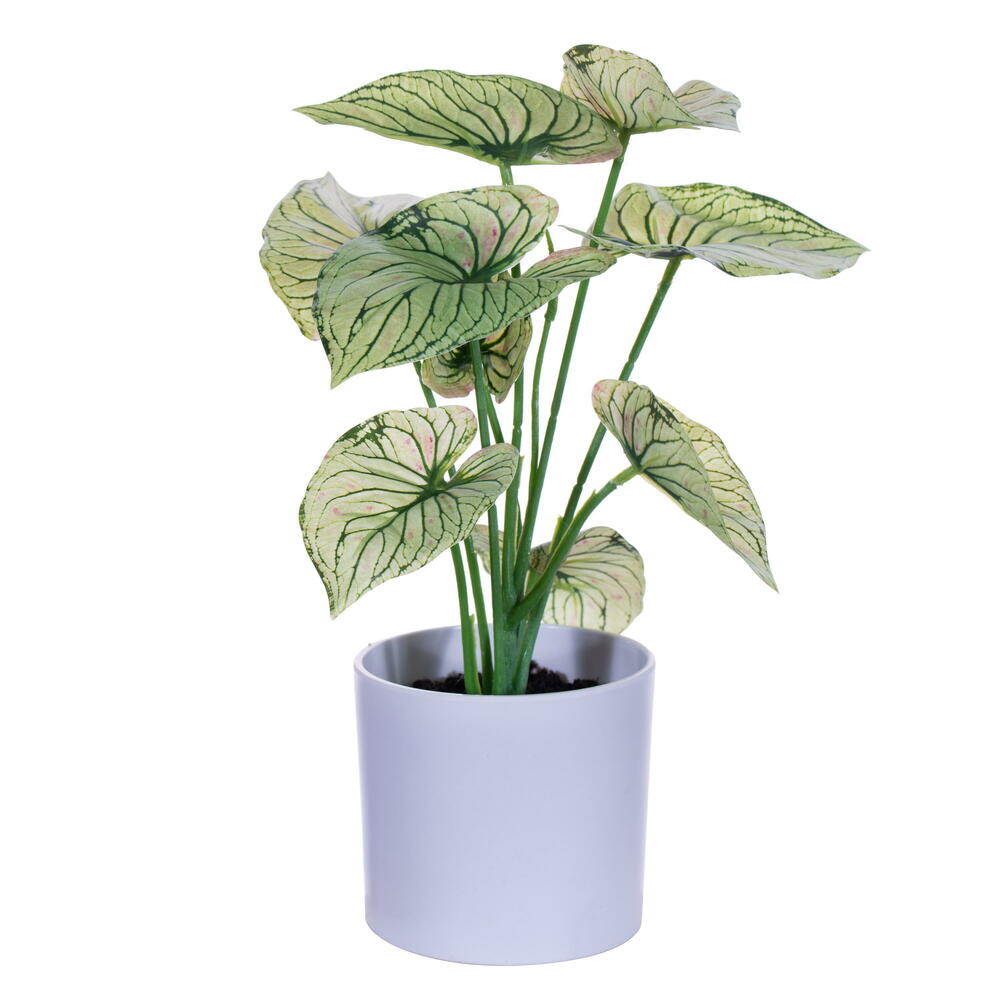 FR230613 11.5 in. Artificial Variegated Leaves with Pot, Light Green - 2 Per Bag