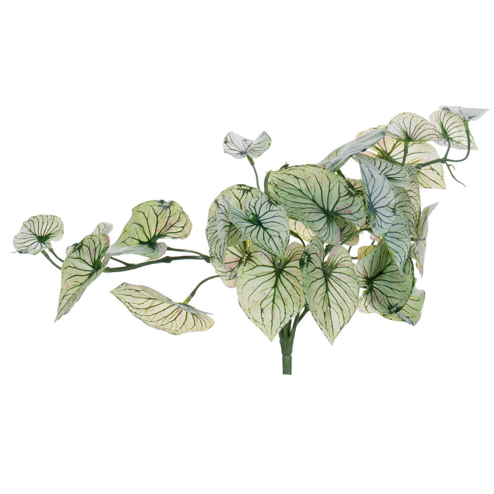 FR231213 15 in. Artificial Hanging Variegated Leaves Vine, Light Green - 2 Per Bag
