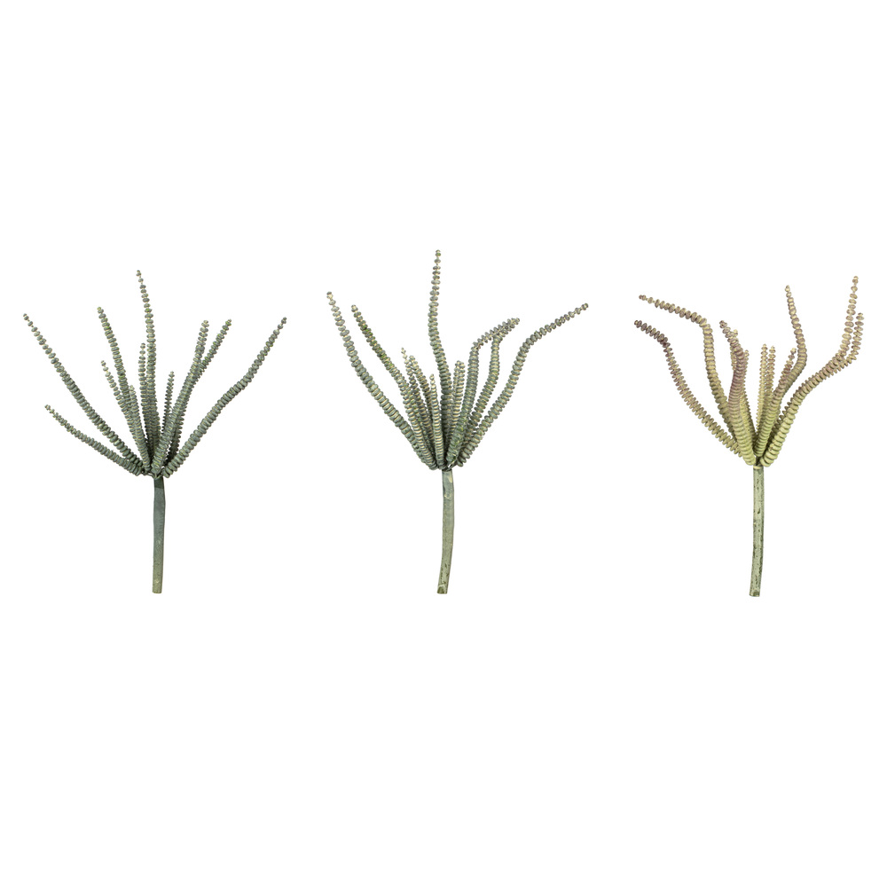 FV193510 10.5 in. Artificial Mixed Haworthia Spray, Green - Pack of 6