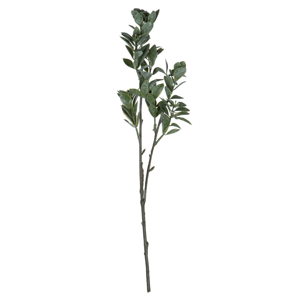 FV193720 20 in. Artificial Aglaia Spray, Green & White - Pack of 6