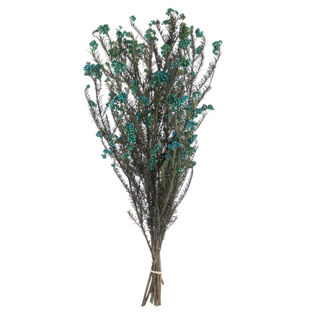 H1RCF500 4.25 oz 16 in. Preserved Rice Flower Bunch, Blue