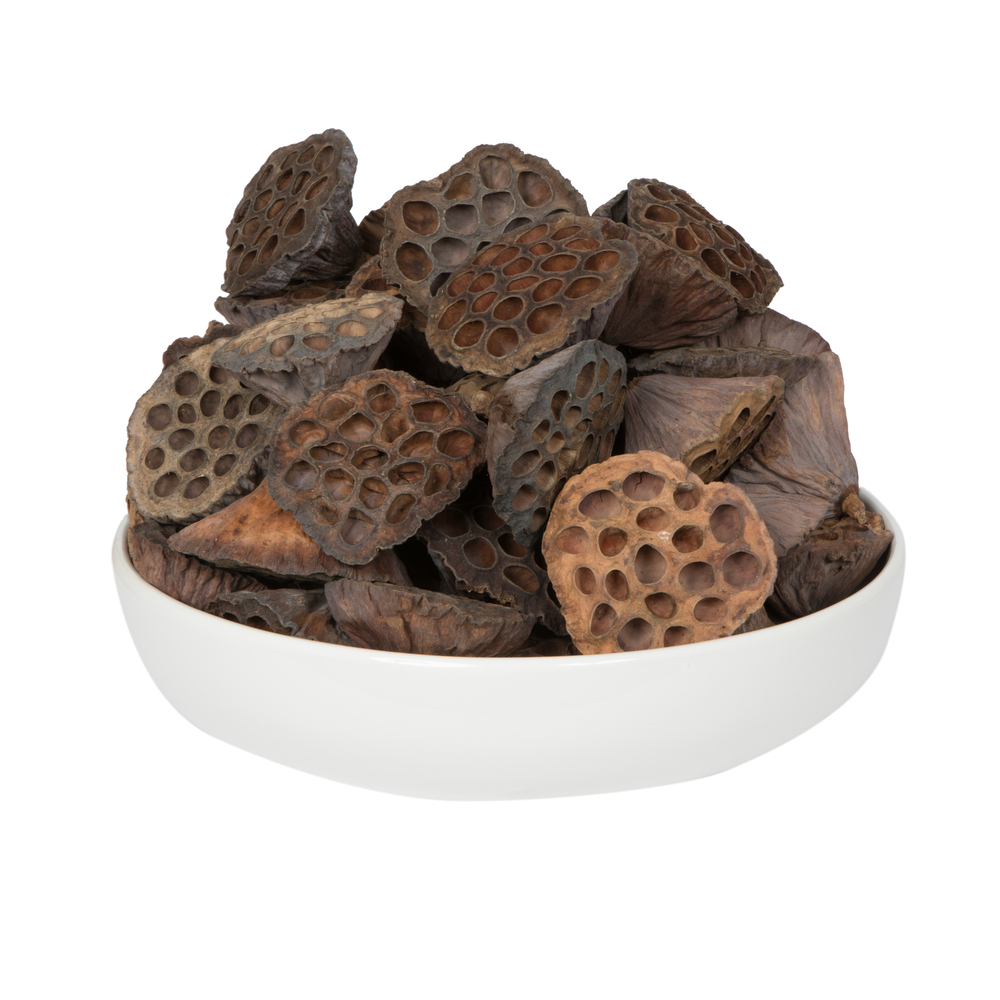 H7LOPL000 3.2 -4 in. Lotus Pod Large Pod - 70 per Pack