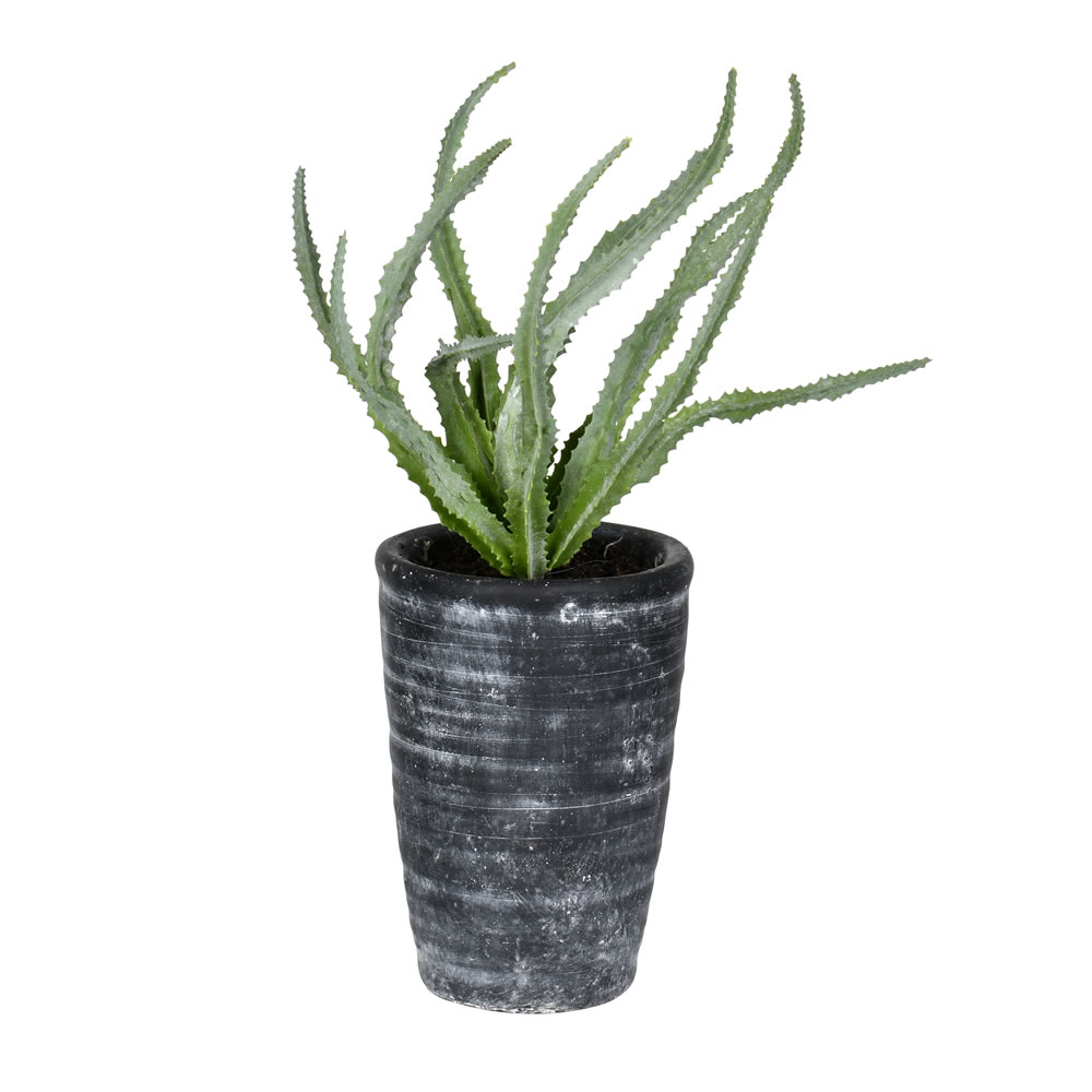FV192011 11 in. Artificial Potted Haworthia Greenery, Green & Gray