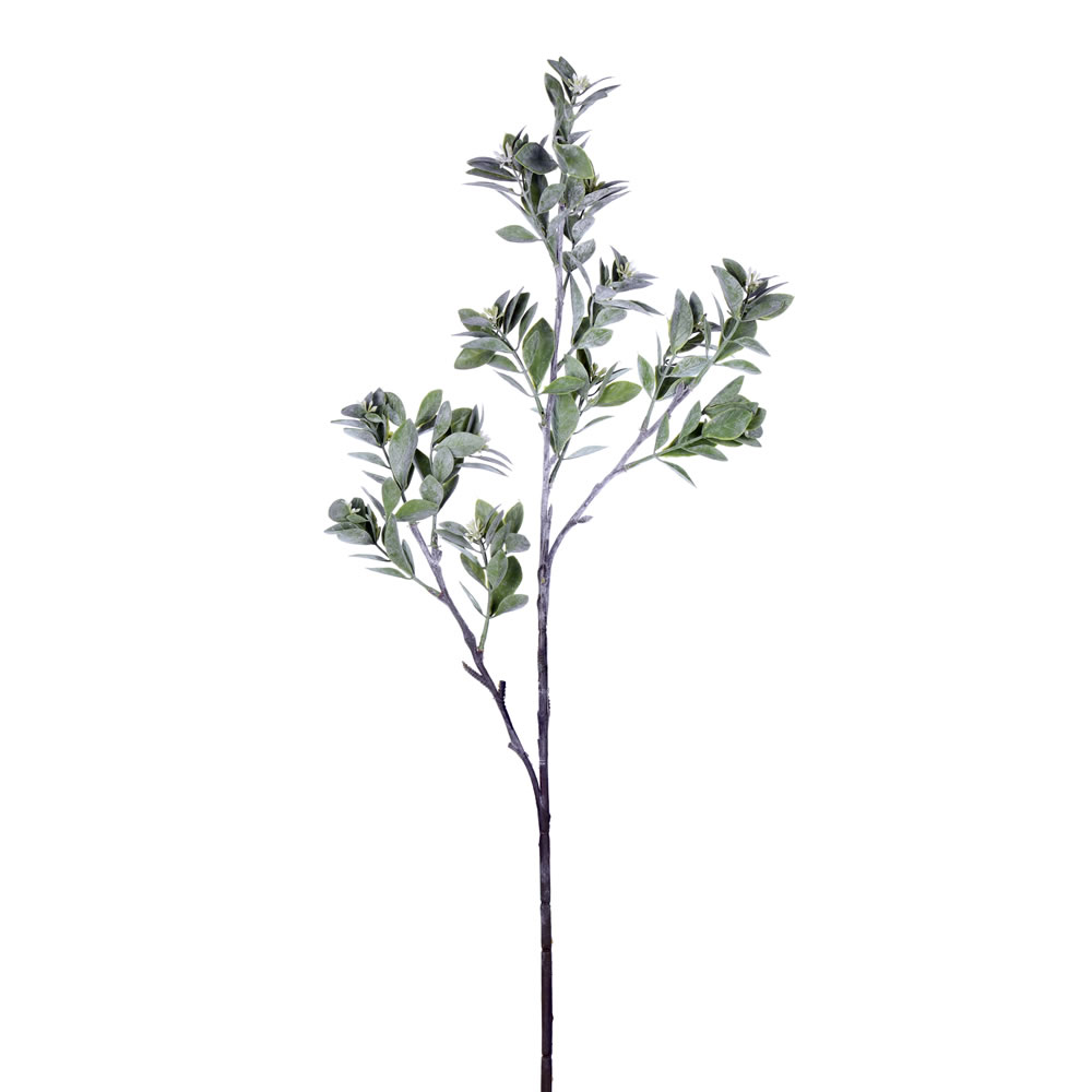 FV193831 31 in. Artificial Aglaia Spray, Green & White - Pack of 3