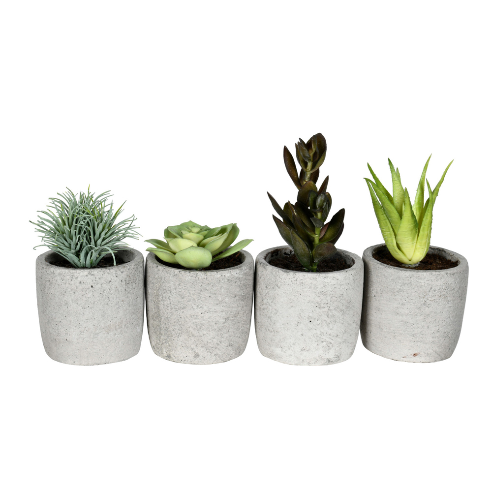 FV192246 6 in. Artificial Assorted Potted Succulents, Green - Pack of 4