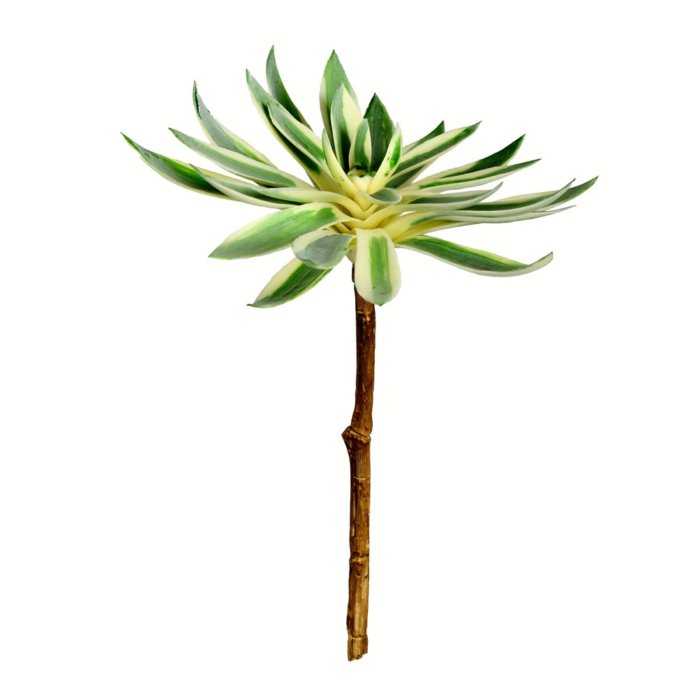 FU190413 13 in. Artificial Succulent Spray, Green - Pack of 2