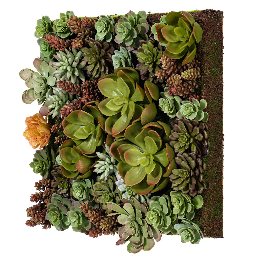 FX190617 16.5 in. Artificial Wall Arrangement Succulent, Multi Color