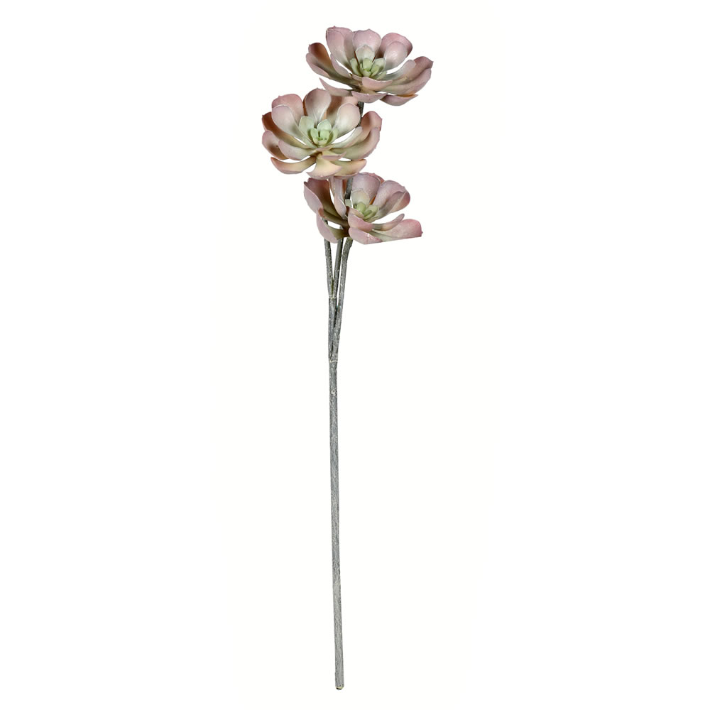 FV192935 34 in. Peperomia Succulent Spray, Brown
