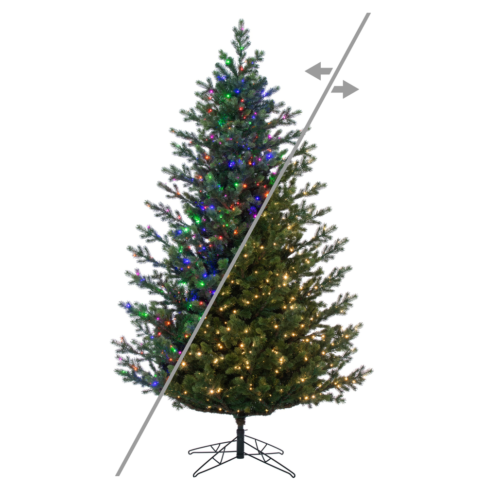 G170388LEDCC 10 ft. x 73 in. Eagle Fraser 3 mm 1900CC Christmas Tree
