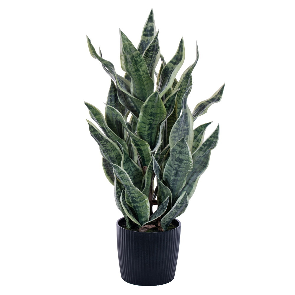 TB251332 32 in. Green & Gray Sansevieria Snake Plant