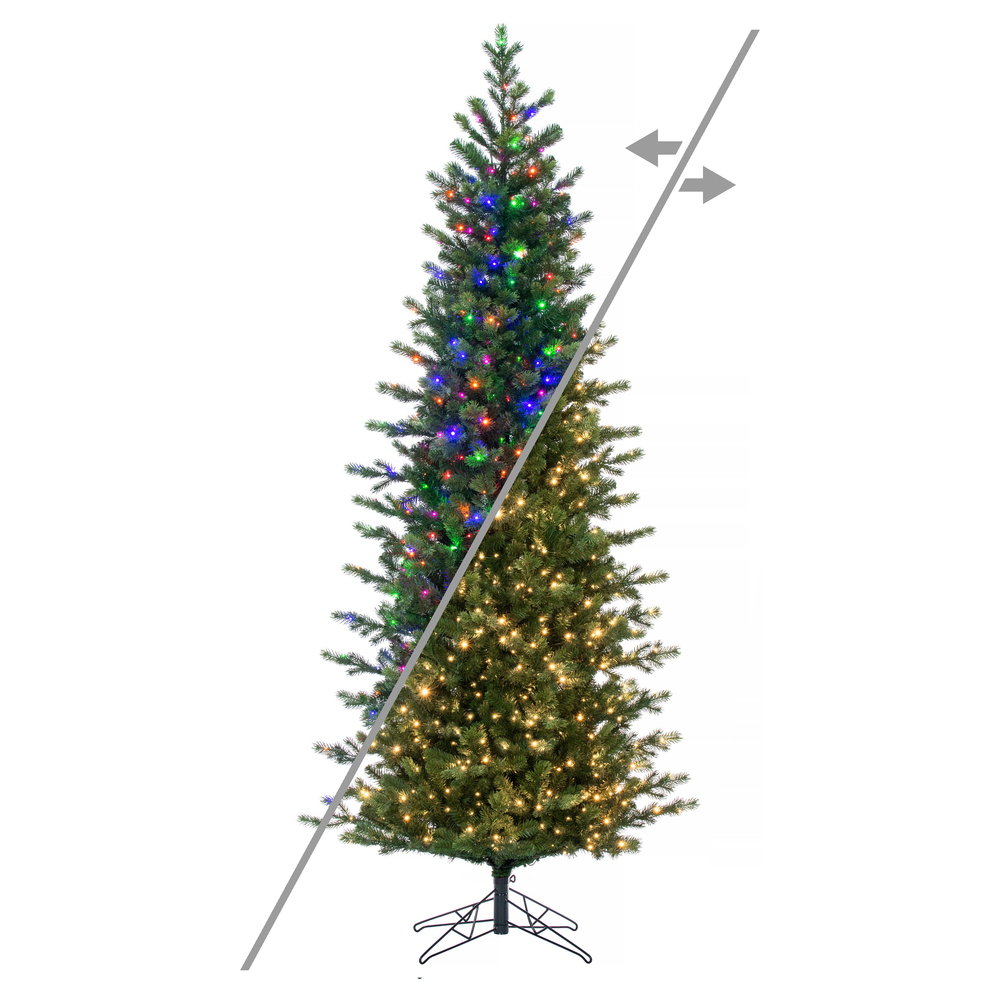 G170198LEDCC 14 ft. x 56 in. Eagle Fraser Slim 3 mm 3100CC Christmas Tree