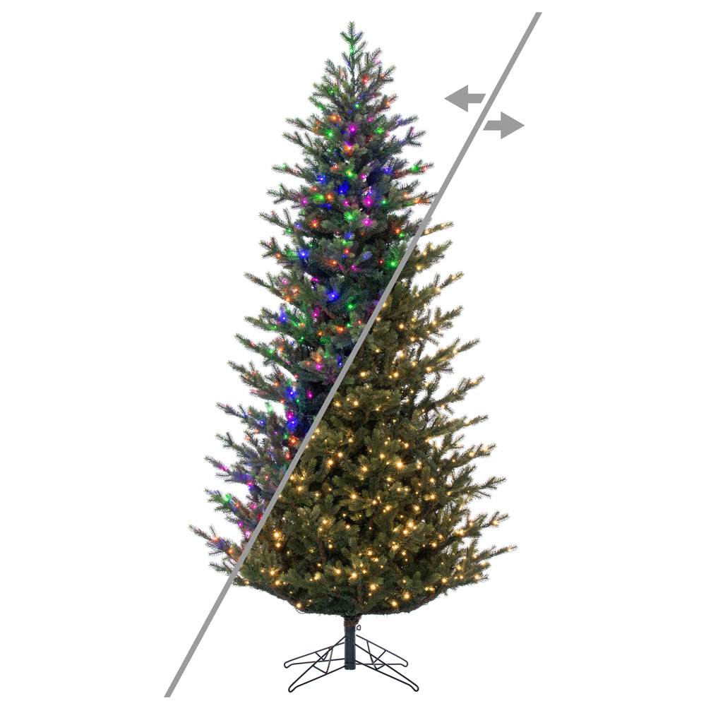 G183193LEDCC 12 ft. x 72 in. Slim Welch Fraser 3 mm 3350CC Christmas Tree