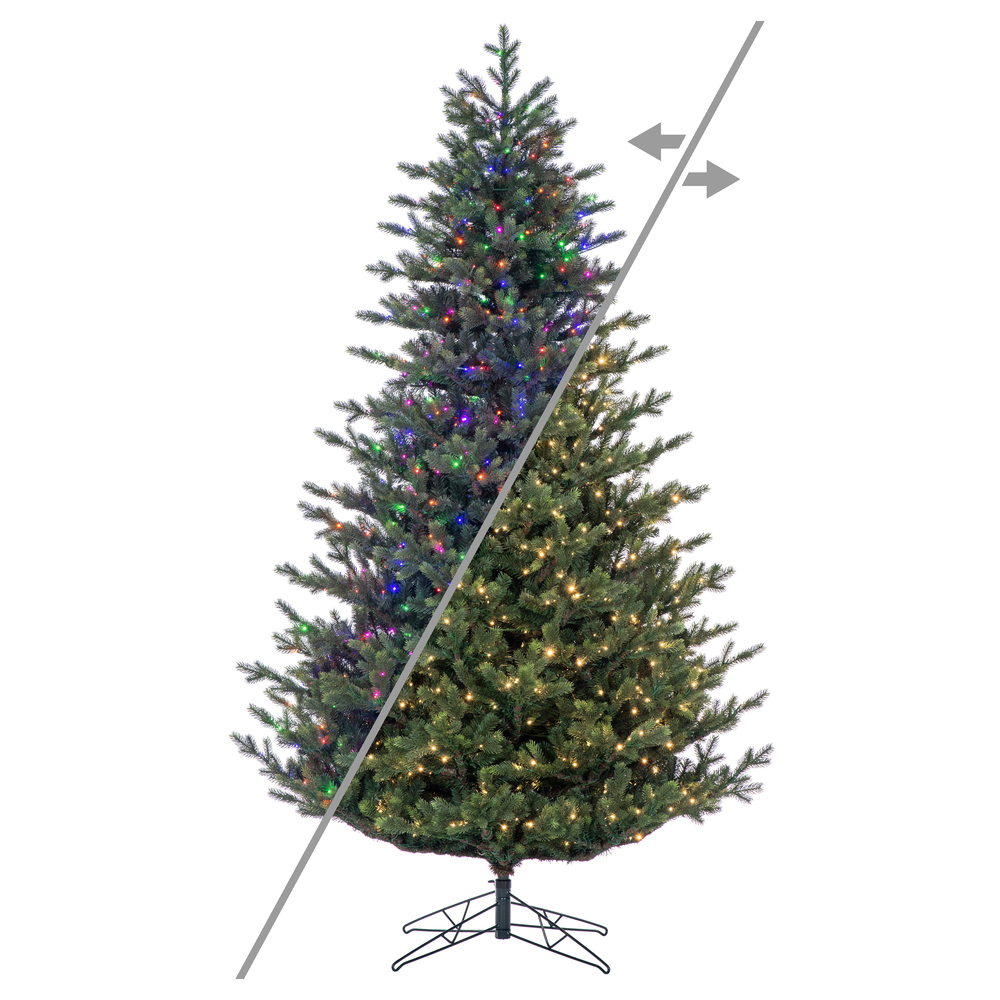 G183288LEDCC 10 ft. x 73 in. Welch Fraser 3 mm 2750CC Christmas Tree