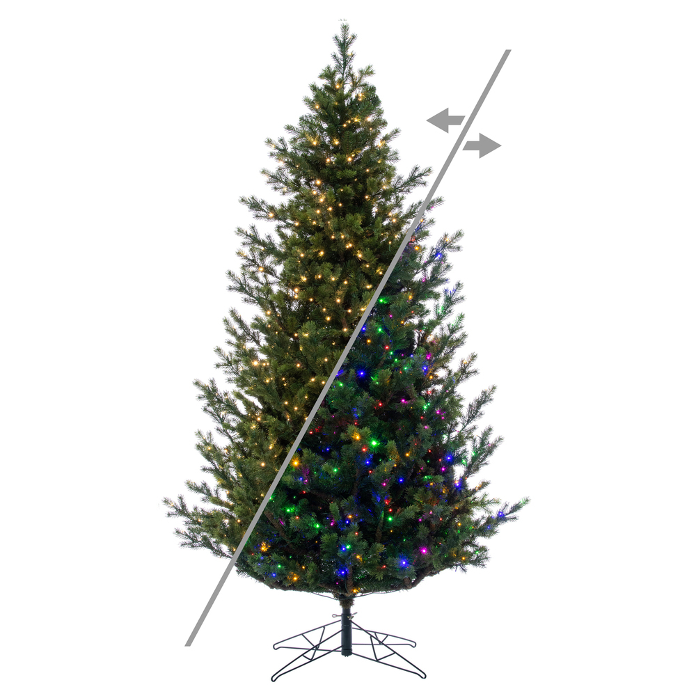 G170398LEDCC 14 ft. x 100 in. Eagle Fraser Fir Artificial Pre-Lit Christmas Tree with 3 mm 3700 LED Color Changing