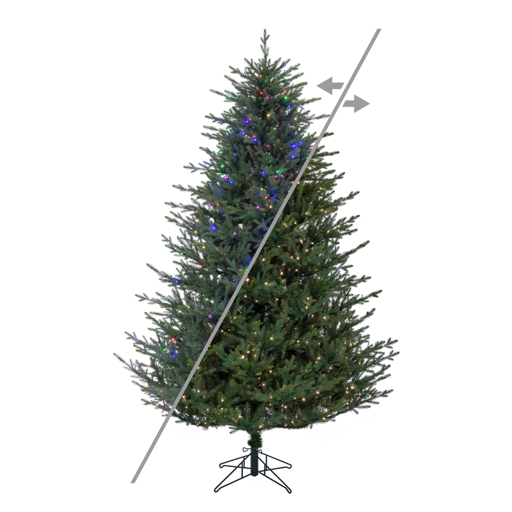 A110391LEDCC 12 ft. x 93 in. Itasca Fraser Fir 3 mm 2100CC Christmas Tree