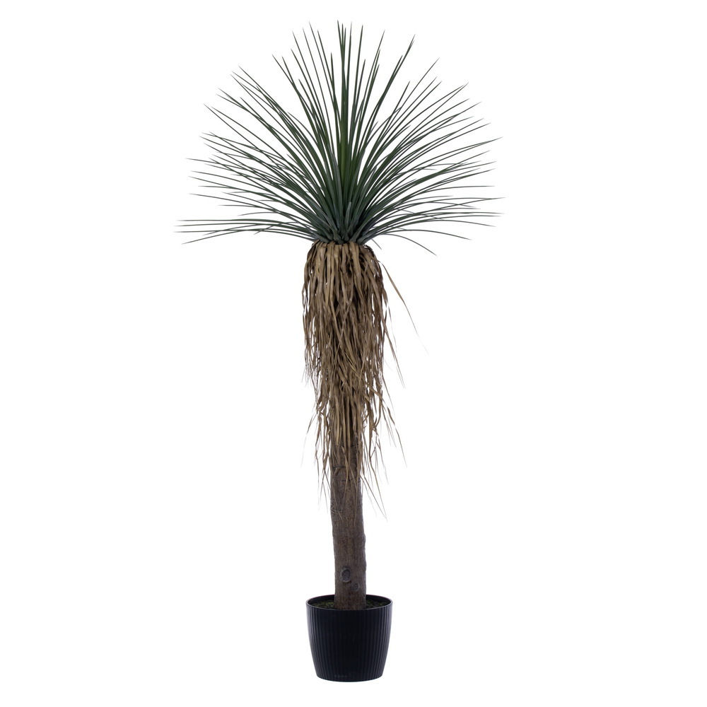 FE250372UV 72 in. Green Nolina Plant in UV Pot Knock Down