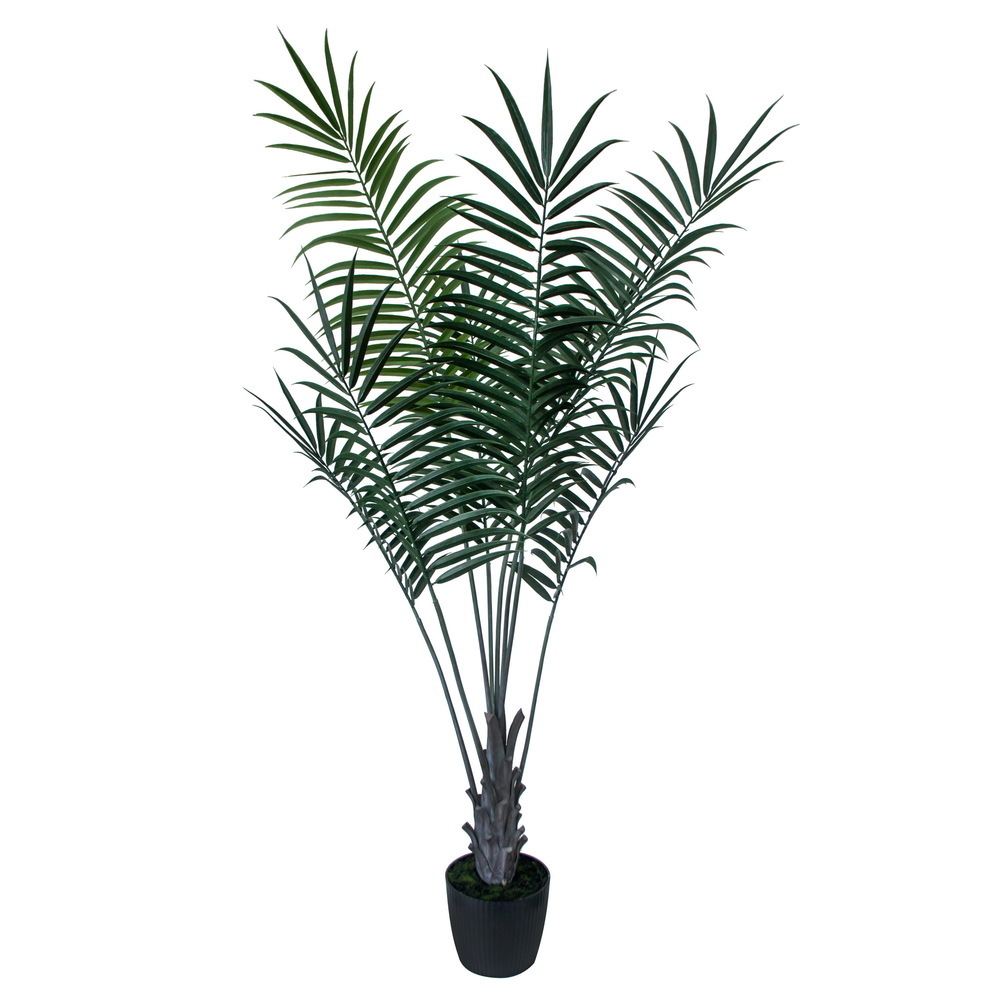 FE250580UV 80 in. Areca Palm in Plastic Pot UV, Green