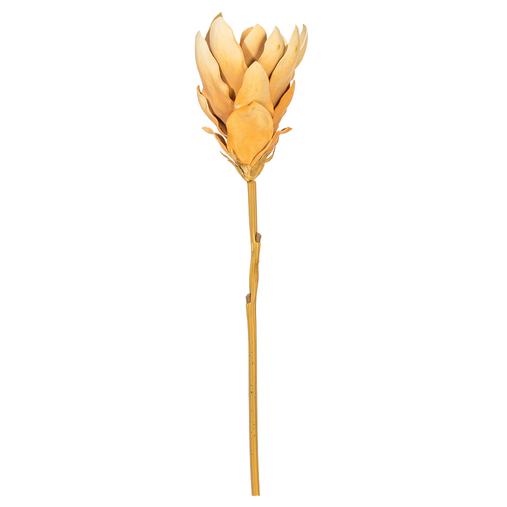 FXT234343 25 in. Light Orange Protea Stem - Bag of 2