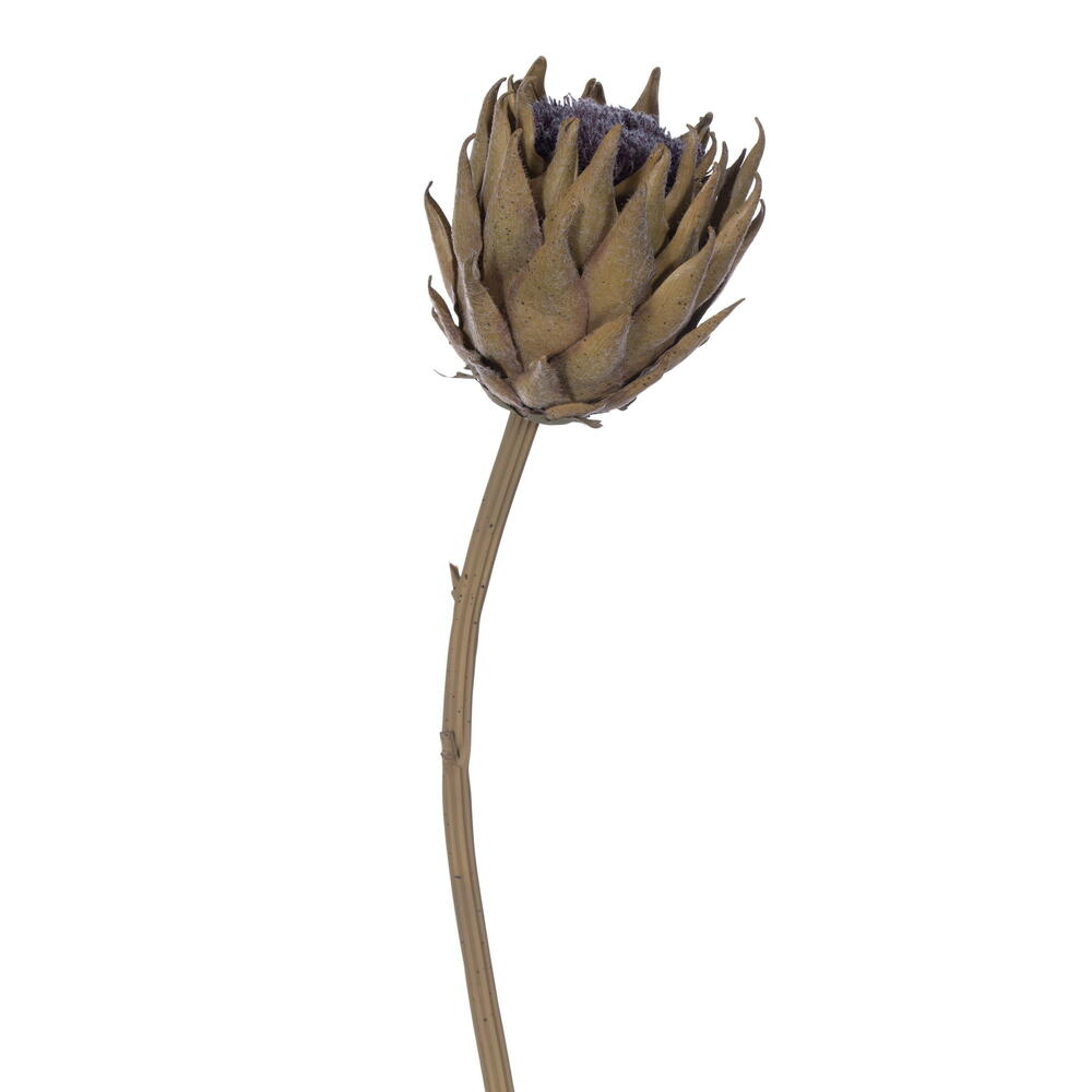 FXT235178 25 in. Mustard Protea Stem - Bag of 2