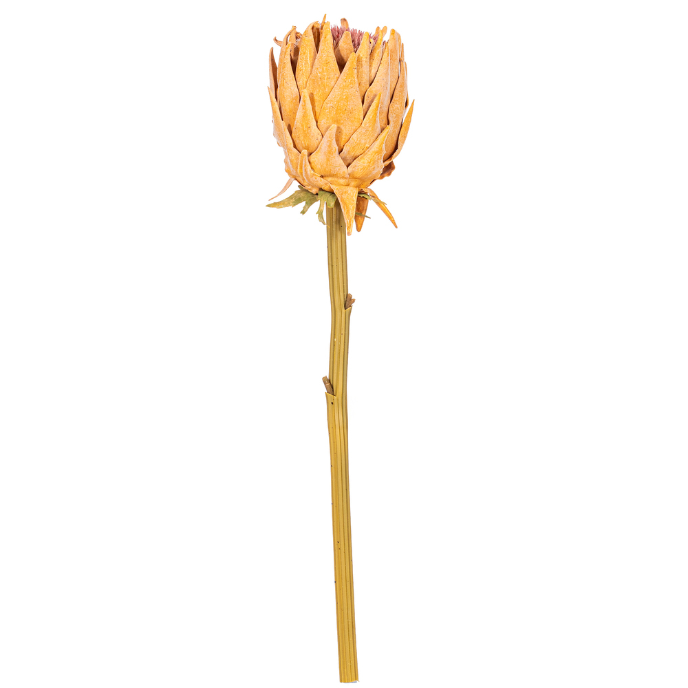 FXT235118 25 in. Light Orange Protea Stem - Bag of 2